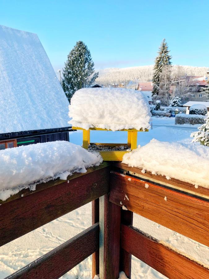 Pension Lenka 1 Harrachov Esterno foto